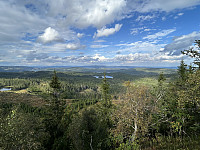 ØyvindBergkvam_20241108_672e161ea67b1.jpg
