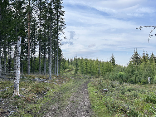 Enkel gange og lite stigning opp til toppen