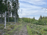 ØyvindBergkvam_20241108_672e1975e1ffa.jpg