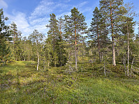 ØyvindBergkvam_20241108_672e1efa4a3ae.jpg