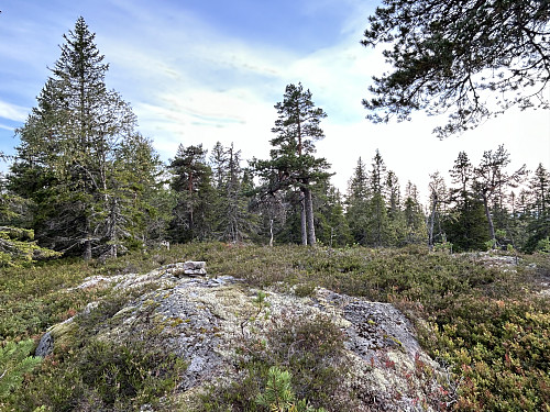 Beskjeden varde på Kirkemofjellet