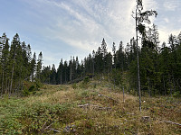 ØyvindBergkvam_20241108_672e231362e91.jpg