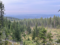 ØyvindBergkvam_20241108_672e2314c4cc4.jpg