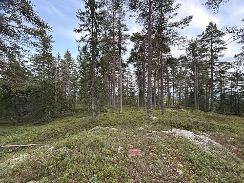 Toppunktet på Langåsen