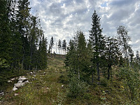 ØyvindBergkvam_20241108_672e284fc7fb1.jpg