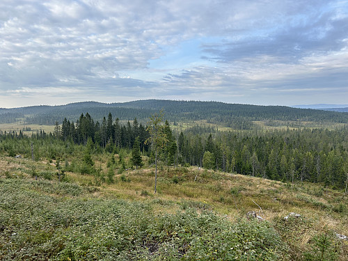 Utsikt underveis mot Hemberget i sør.