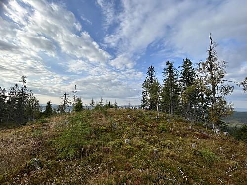 Nabokollen i SØ viste seg å være noe lavere