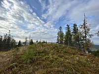 ØyvindBergkvam_20241108_672e2854c4eff.jpg