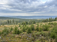 ØyvindBergkvam_20241108_672e28565dde6.jpg