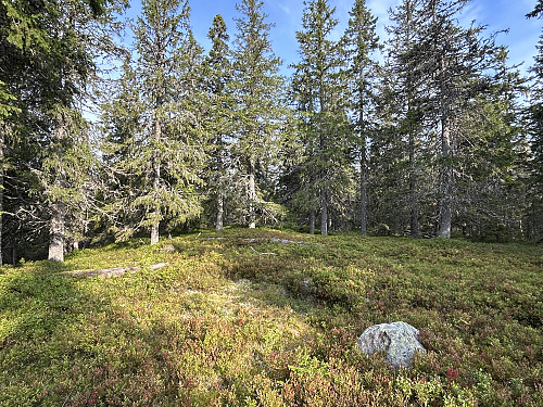 Hemberget i Våler