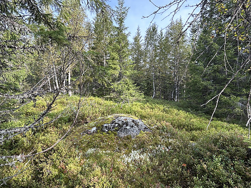 Flisberget i Elverum