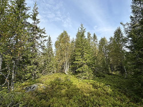 Flisberget i Elverum
