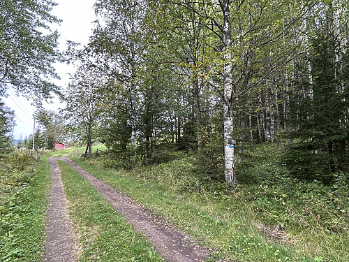 Herfra fulgte jeg blåmerket sti opp til høyre