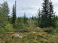 ØyvindBergkvam_20241108_672e311d60b9d.jpg