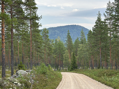 Juvbergshetta sett fra veien opp mot Høgsjøberget