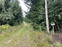 ØyvindBergkvam_20241108_672e375d99ba1.jpg