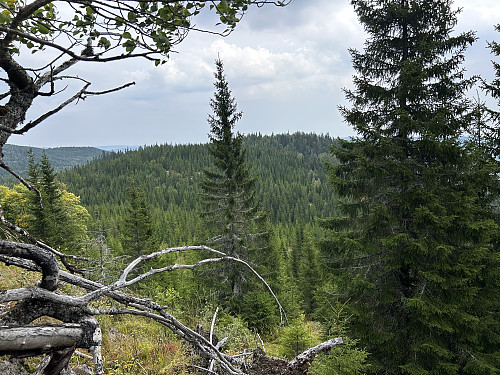 Juvbergsrøysa sett fra oppstigningen til Juvbergshetta