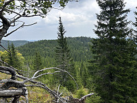 ØyvindBergkvam_20241108_672e37639edba.jpg