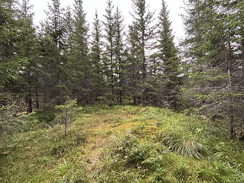 Juvbergshetta 609 moh