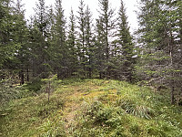 ØyvindBergkvam_20241108_672e37658d87b.jpg