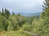 ØyvindBergkvam_20241108_672e37674f8c8.jpg