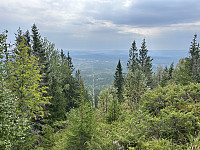 ØyvindBergkvam_20241108_672e376a3061f.jpg