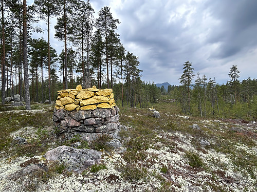Riksrøys 100 i Åsnes