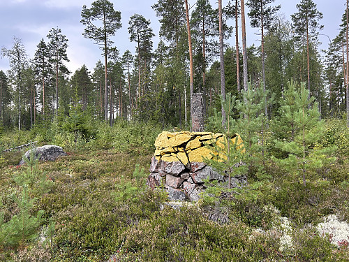 Riksrøys 99 A. 