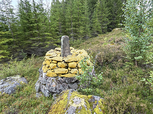 Riksrøys 99 ligger bare et godt steinkast fra veien 