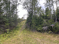ØyvindBergkvam_20241111_673245832dacb.jpg
