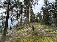ØyvindBergkvam_20241111_6732458a56164.jpg