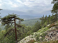 ØyvindBergkvam_20241111_6732458e68a94.jpg