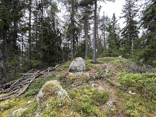 Rogberget i Åsnes.