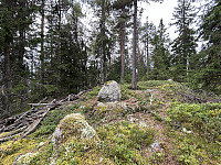 ØyvindBergkvam_20241111_67324595b362c.jpg