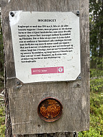 ØyvindBergkvam_20241111_6732459b5f299.jpg