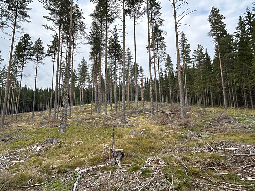 Starten av turen sett fra parkeringslomma