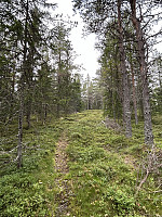 ØyvindBergkvam_20241113_673479a8b7052.jpg
