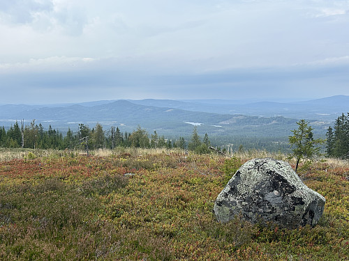 Utsikt mot NØ fra østtoppen. Rogberget til venstre for midten av bildet