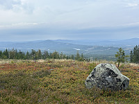 ØyvindBergkvam_20241113_673479ac8ac44.jpg