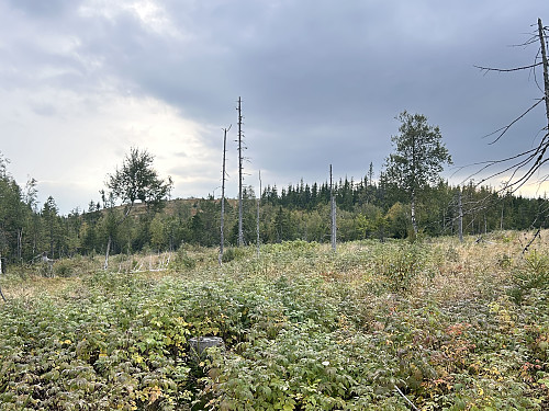 Litt vanskelig terreng å gå i mellom østtoppen og toppen av Storberget
