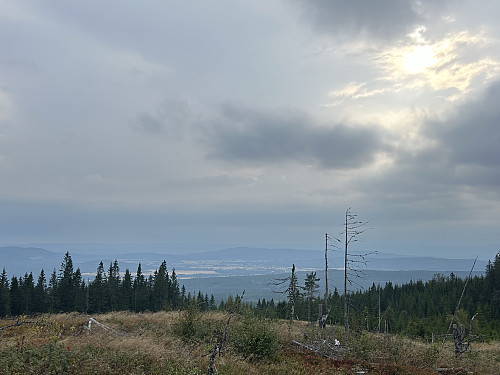 Utsikt vestover fra Storberget 