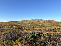 ØyvindBergkvam_20241113_673499937ef51.jpg