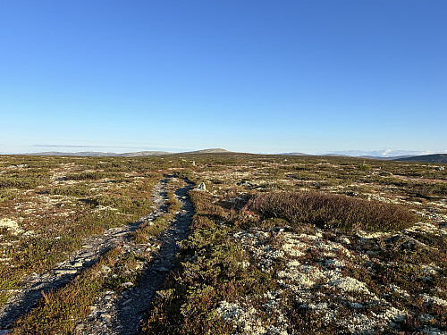 Endelig dukker Lyngkampen opp i det fjerne (midt i bildet)