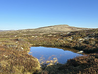 ØyvindBergkvam_20241113_673499a7e2bb4.jpg