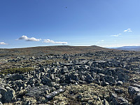 ØyvindBergkvam_20241113_673499c587240.jpg