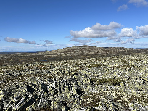 Lyngkampen sett fra vesttoppen
