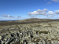 ØyvindBergkvam_20241113_673499cc8efe5.jpg