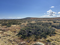 ØyvindBergkvam_20241113_673499ea5ebf6.jpg