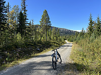 ØyvindBergkvam_20241113_6734a1fd1352f.jpg