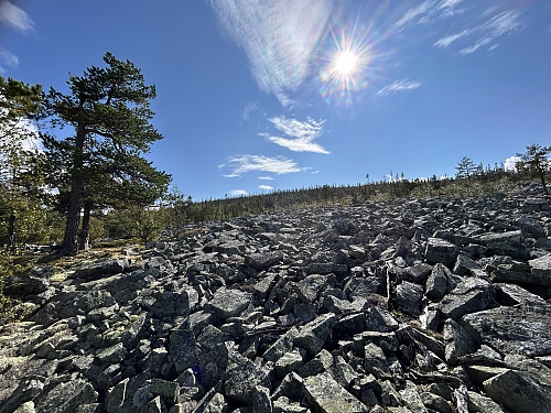 Det er mye steinur i nederste del av nordryggen på Heievola